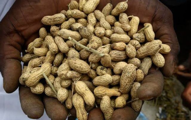 peanuts