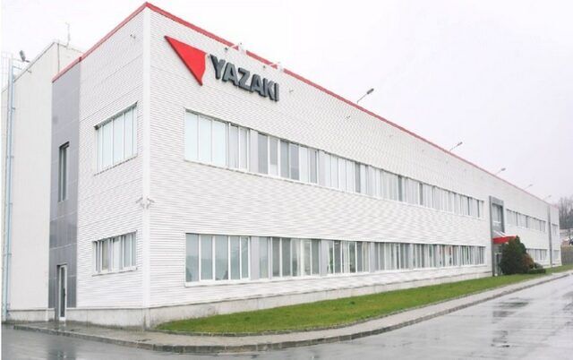 yaz1