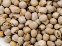 https://trendsnafrica.com/mozambique-court-withholds-export-of-usd-61m-india-bound-pigeon-peas/